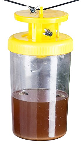 Exbuster 3er-Set Biologische Fliegenfalle, ungiftiger Wirkstoff f. je 10 Wochen - 3