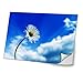 Produktbild Natur 10003, Weiße Blume, Skin-Aufkleber Folie Sticker Laptop Vinyl Designfolie Decal mit Ledernachbildung Laminat und Farbig Design für Laptop 17"