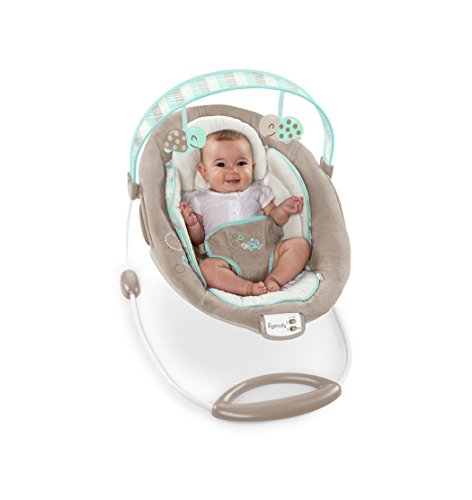 Ingenuity 10269 Bouncer – Sampson - 6