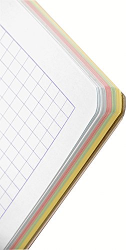 Clairefontaine Collegeblock (mikroperforiert mit Ringbuchlochung farbige Blätter, DIN A4+, 22,5 x 29,7 cm, 120 Blatt, 90g, kariert mit Rahmen) farbig sortiert,5 Stücke - 7