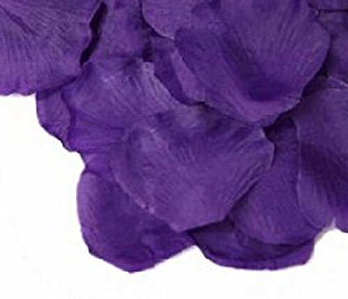 FreshGadgetz 1000 Rosenblätter Blütenblätter aus Seide (1000 Purple petals) – Rosenblätter – Getrocknete Rosenblätter - 4