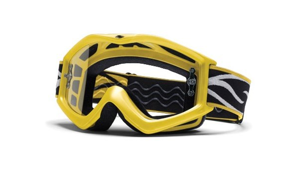 smith goggles evo