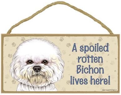 A spoiled rotten Bichon lives here wood sign plaque 5 x 10