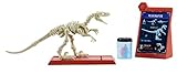 Collect Them All Mattel Jurassic World Fossil Strikers Velociraptor Figure