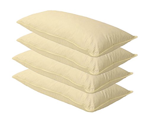 4 x Sofa Federkissen 40x60 cm (echte Federn) robust & formstabil