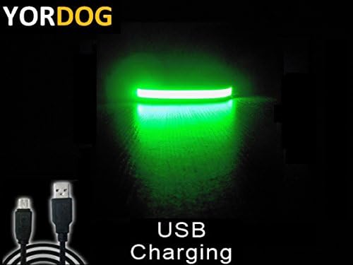 MAD SALE PRICE WHILE STOCKS LAST - NEW Premium Quality Super Bright PU Leather LED dog night safety collar rechargeable via USB, quick charge time just 40 minutes no batteries required, available in 4 colours, medium size fits neck size 35-45cm (Green, Medium)
