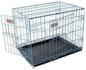 indoor plants safe dogs