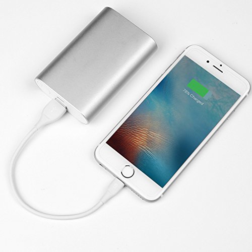 Syncwire C  ble iPhone - 20cm Chargeur iPhone  MFI certifi   Apple  UNBREAKCable Lightning vers USB pour iPhone X 8 8 plus 7 7 plus 6s 6s plus 6 6 plus SE 5c 5s 5  iPad Mini  Air - Blanc
