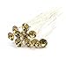 Bride Boutique Bridal Wedding Prom Crystal Encrusted Diamante Hair Pins Clips Grips (Gold)