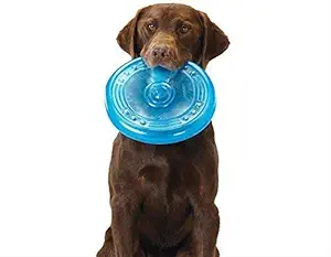 Petlicious & More Rubber Frisbee for Maxi & Large Dogs (Color May Vary)