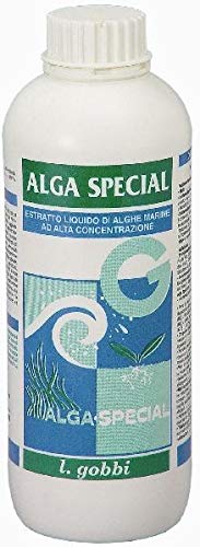 GOBBI Alga Special ASCOPHYLLUM NODOSUM STIMOLANTE LT. 1