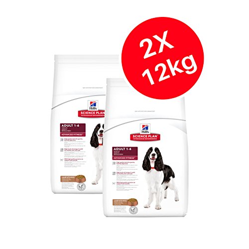 hills medium dog food