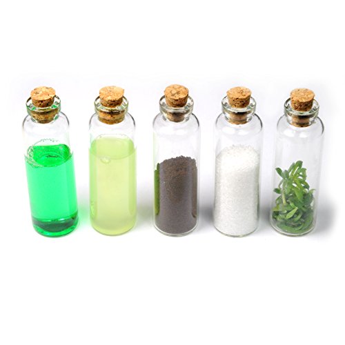 20er SET Mini-Fläschchen 5ml aus Echtglas mit Korken für Dekoration, zur Aufbewahrung kleiner Mengen oder als Puppenfläschchen – Marke Ganzoo - 4