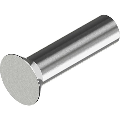 Preisvergleich Produktbild 200 Stück Senkniete DIN 661 - Edelstahl A2 4x 8