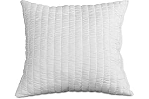 EVERGREENWEB MATERASSI & BEDS Evergreenweb - Relleno para cojines (50 x 50 cm, espuma viscoelástica, antialérgico, animales interiores para cojines, cojines de decoración y cojines de salón