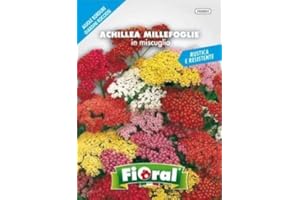 L'ORTOLANO Sementi da fiore di qualità in bustina per uso amatoriale (ACHILLEA MILLEFOGLIE IN MISCUGLIO)