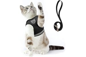 Supet Imbracatura per Gatti con Guinzaglio Gilet riflettente in Nylon Morbido per Cani da Passeggio per Cani da Corsa Adatto a Gatti, Cuccioli, Piccoli Animali Domestici