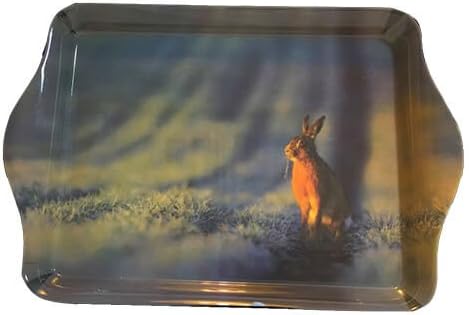 Country Matters Wild Hare Trinket Tray
