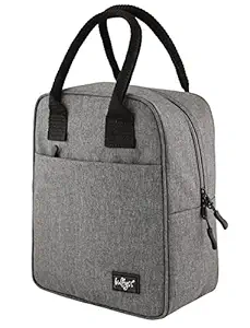 Bulfyss Insulated Travel Lunch/Tiffin/Storage Bag Leakproof Hot/Cold for Men Women Unisex, Office, College & School (Grey)