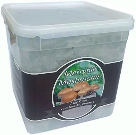 Merryhill Mushrooms - Grow Your Own Fresh Chestnut Lidded Gift Mushroom Kit (Single Chestnut Lidded Gift Kit)