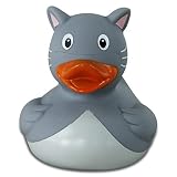 Badeente, Quietscheente, Ente, Katzen Ente - 2