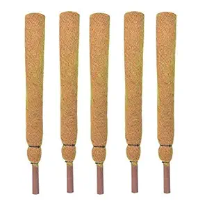 COIR GARDEN Coir Moss Stick/Coco Pole for Climbing Money Plants, Indoor and Outdoor Plants 1.5 ft, 45 cm - Set of 5