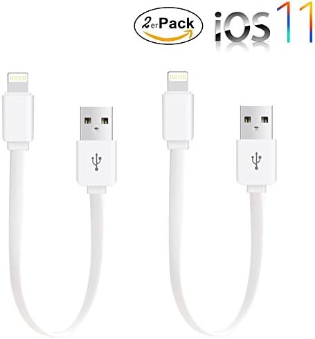 Lightning Cable Short