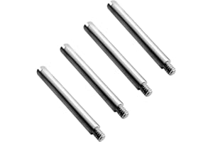 HiCycle2 Viti per bracciale Rolex Submariner (argento, 1.7 * 1.4 * 13.6)