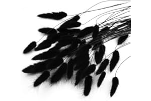 Chstarina 50 Pcs Dried Bunny Tail Grass Dried Pampas for Cake Decor, DIY Boho Plant Rabbit Tails Bedroom Decor Fluffy Pampas Grass Natural Dried Flowers for Boho Decor Wedding Party Photo Props(black)