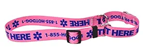 Custom Personalized Martingale Dog Collar, Light Pink, Large