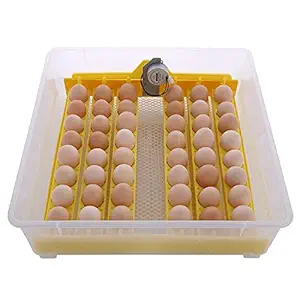 TM&W-(HHD) | High quality Small temperature controller for chicken eggs incubator automatic for 48 Egg Incubator egg incubator