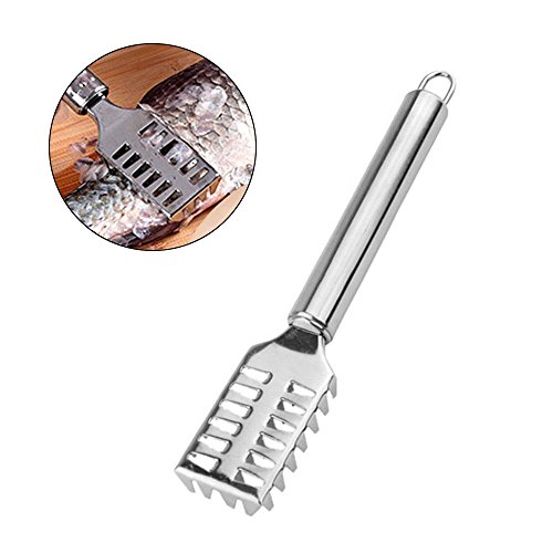 Preisvergleich Produktbild Pawaca Edelstahl-Skala-Entferner, Haut-Reiniger-Küchen-Gerät-Skala-Re...