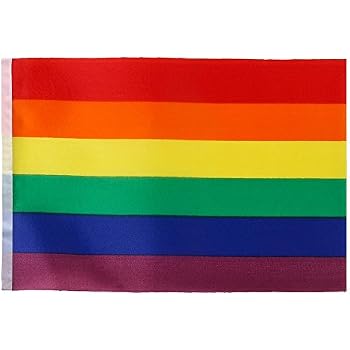 Drapeau LGBT Hillylolly 2 Pièces Drapeaux Pride Arc-en-Ciel Progressif 90x150cm Avec Œillets En Laiton