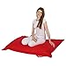 Produktbild QSack Kindersitzsack Indy, inkl. Sitzsack Inlett und deutsche Qualitätsfüllung EPS HBCD frei, Indoor Sitzsack 100x140 cm, Neu (rot)
