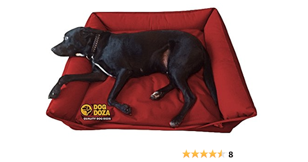 doza dog beds