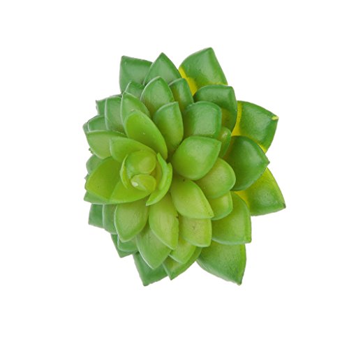 Künstliche Saftiges Reale Echeveria Blume Gräser Gras Laub Dekor Grün - 07