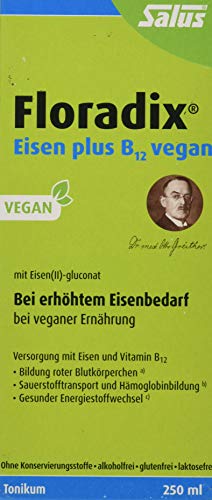 Floradix Eisen plus B 12 vegan - Nahrungsergänzungsmittel