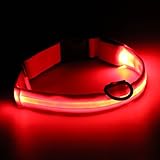DIGIFLEX LED Hundehalsband Tierhalsband Leuchtet Rot Sicherheitshalsband Hundmarke Einstellbares Nachtlicht