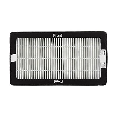 Klarstein Pure Filtre HEPA de Rechange pour purificateur d'air 1 Vita Pure de (Particules Fines, Les Particules de fumée, Les Virus et Les bactéries)