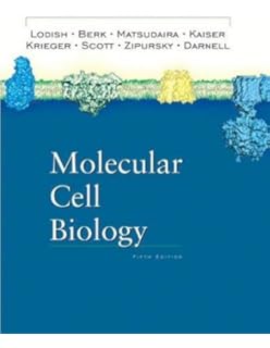Molecular Cell Biology