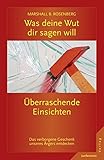Image de Was deine Wut dir sagen will: überraschende Einsichten: Das verborgene Geschenk des Ärgers entdeck