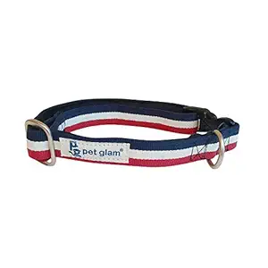 Pet Glam Dog Collar Liberty -Comfortable Padded Linning-for Medium-Large Dogs-Durable Hardware-Fits-Beagles, Labs, Indies, Gold Retrievers, Huskies