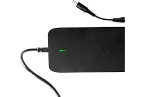 Enerpower Cargador de 42 V para batería de 36 V VANMOOF S3 y X3 (salida 4 A (170 W)