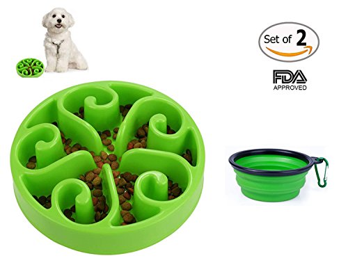Motionjoy® 11.8 pulgadas Anti-tragando Cuenco con Comedero para Mascotas Bebedero Portatil de Viaje Plegable Cuenco del Perro & gato - FDA Aprobado (Verde)