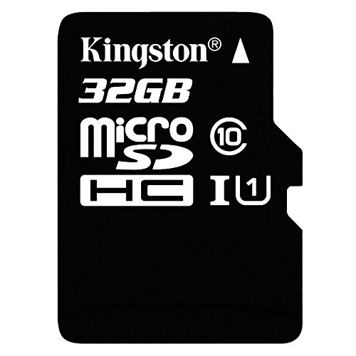 Kingston SDC10G2 32GB - Tarjeta microSD DE 32 GB