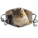 Produktbild Calm and Be A Cat Anti Dust Breathable Face Mouth Mask for Man Woman