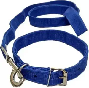 GTL Dog Collar & Leash (Large, Blue)