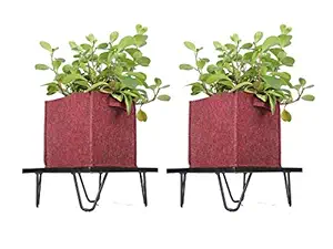 Rise Corp Iron Square Flower Pot Stand Planter Heavy Duty Plant Display Stand with Geo Fabric Square Grow Bags for Home Balcony & Terrace Gardening Pack of 2 (12*4 inch) with 2 grow bags(8*8 inch)
