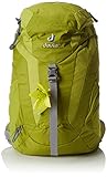 Con forma anatómica, correas de los hombros suavemente acolchado. Bolsillo de tapa. Bolsillo interior con cremallera objetos de valor. Práctico cierre de tapa única