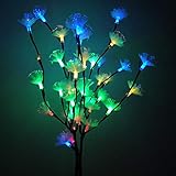 Especificaciones de las ramas iluminadas: la luz de ramas de flores viene con 71 cm de alto y 20 bombillas LED de flores. Regalos exquisitos, Navidad, Año Nuevo, cumpleaños, fiestas, actuaciones, ocasiones especiales, etc. Regalo perfecto para mujeres y niñas. Vienen en una caja de regalo y regala a colegas, amigos y familiares.